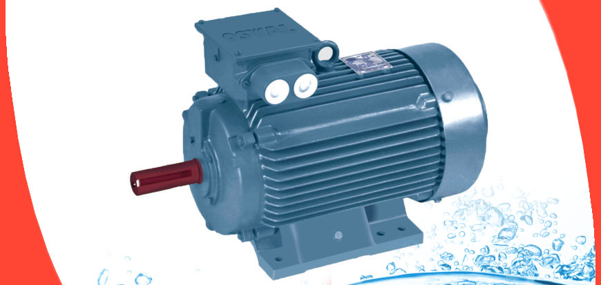 Induction-Motor